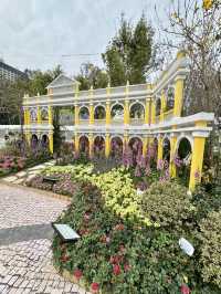 香港也有超美向日葵花海 香港花卉展覽2024