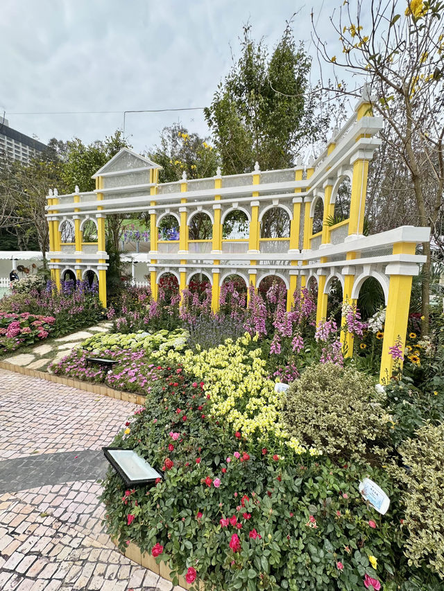 香港也有超美向日葵花海 香港花卉展覽2024
