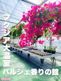 淡路島！彩り美しい花を一年中観賞できる大温室と農園
