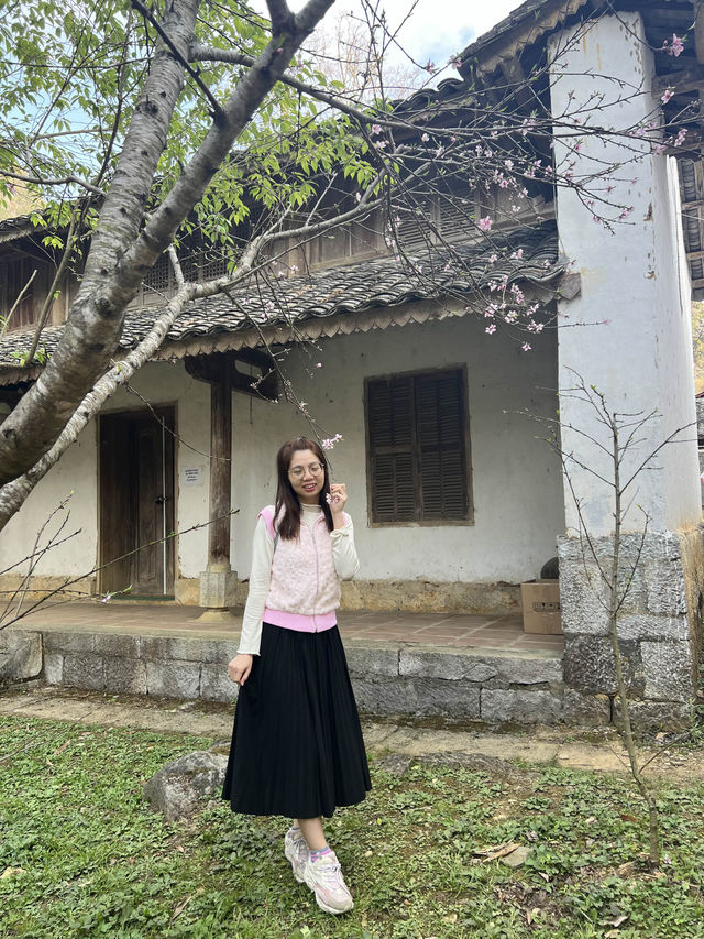 Cherry blossom in Hmong King’s Palace🌸🌸