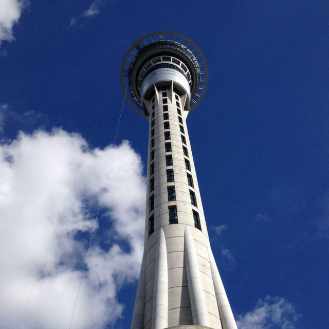 An icon of Auckland's city skyline