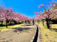 Umami-kyuryo Park 