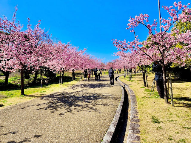 Umami-kyuryo Park 