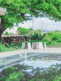 ☀️하늘을 담고있는 감성적인 카페 [커피냅로스터스]🌱