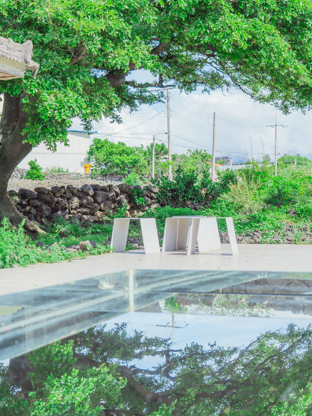 ☀️하늘을 담고있는 감성적인 카페 [커피냅로스터스]🌱