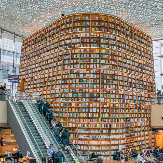 (Starfield Library 별마당 도서관) 
