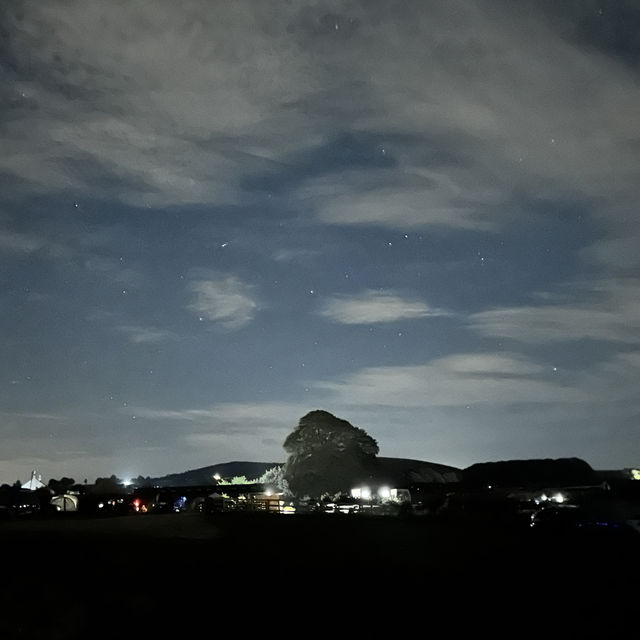 Camping at Five Arces Farm Campsite