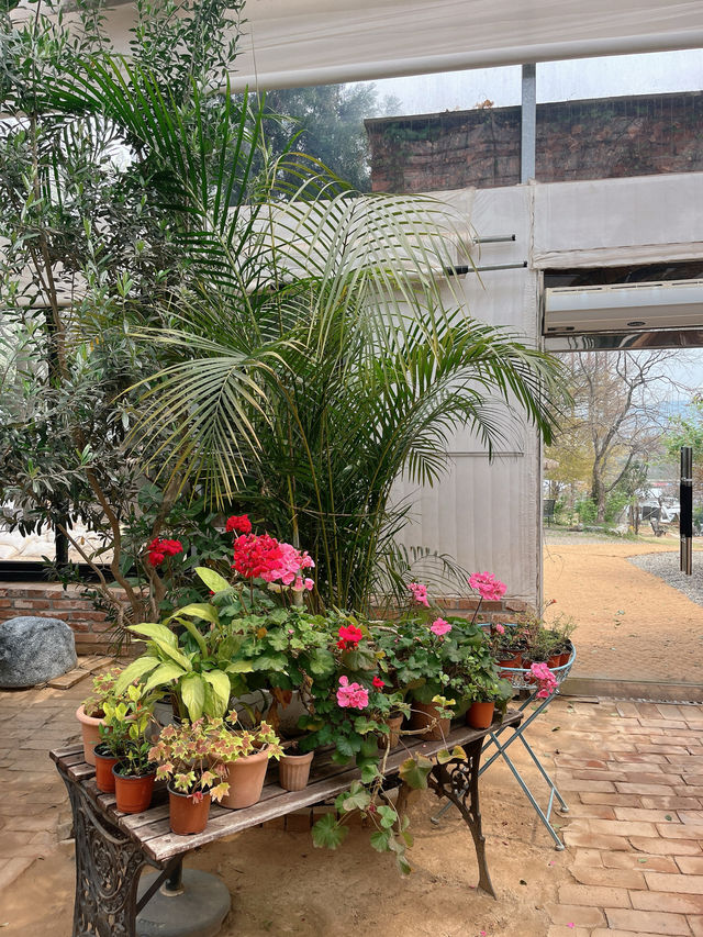 서울 근교 데이트코스로 딱! 봄의 정원🌸🌹🌿 더 포레