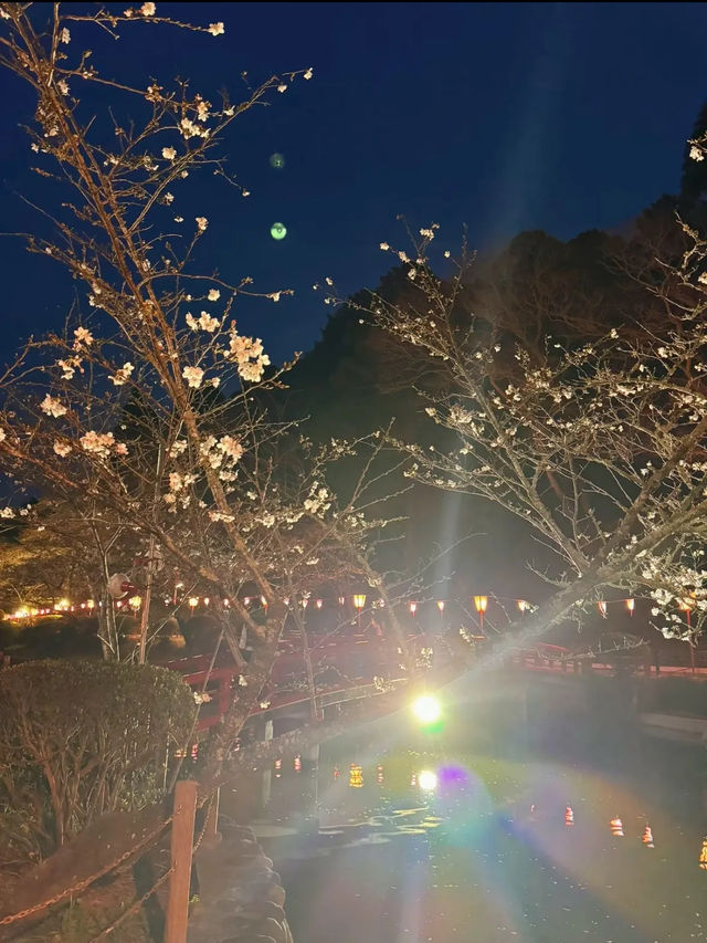 【千葉】今週末が見頃!!桜の名所100選の穴場お花見スポット
