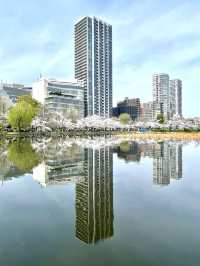 【不忍池/東京都】大きな池と桜の絶景スポット