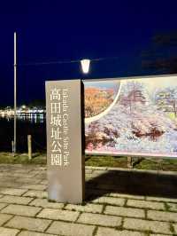 【新潟】一度は行きたい日本三大夜桜の観桜会