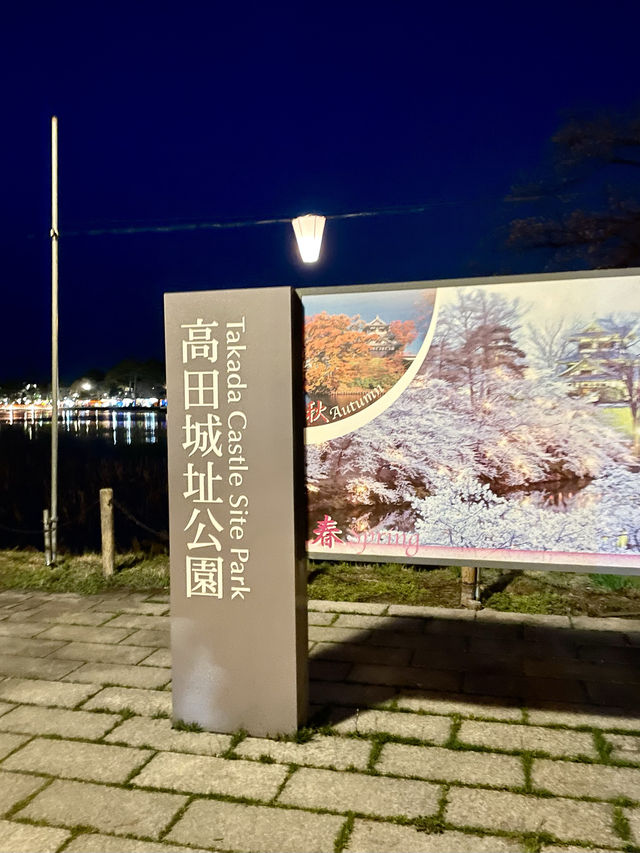 【新潟】一度は行きたい日本三大夜桜の観桜会