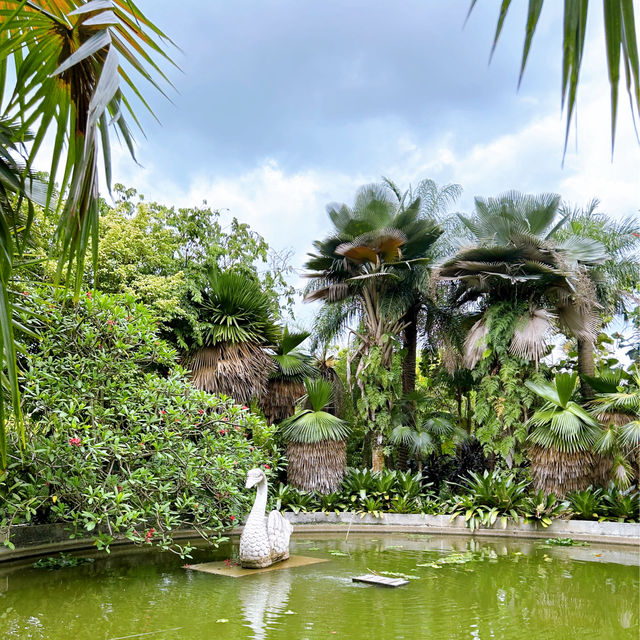 Cactus Valley in Garden By the Bay