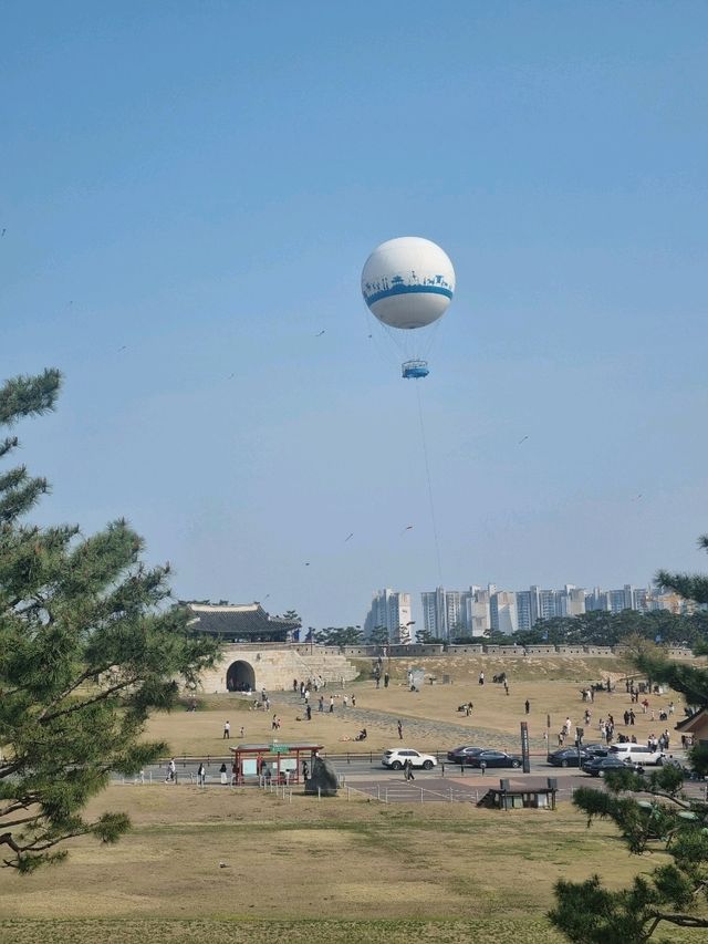 따뜻한 봄이 되면 드디어 열기구를!!