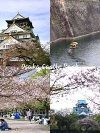 ที่ชมซากุระในเมืองโอซาก้า วันเดียวก็เที่ยวได้!