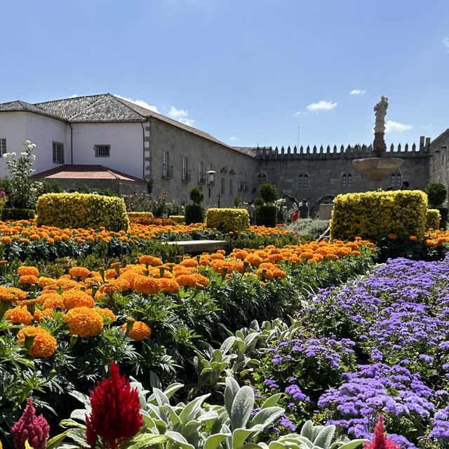 Garden with colourful flowers 🌺🌼🪻