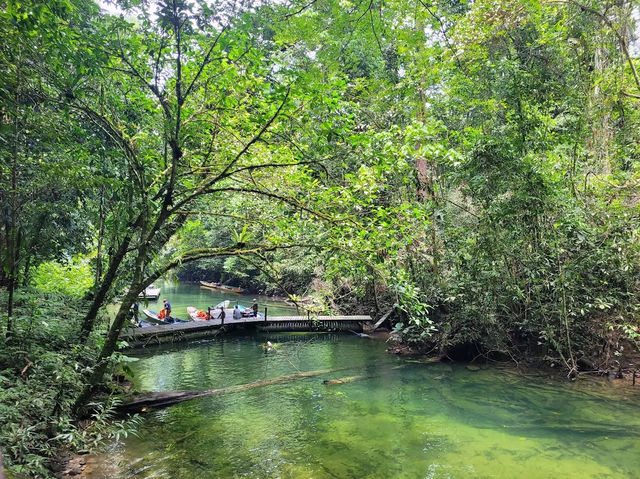 Gunung Mulu National Park