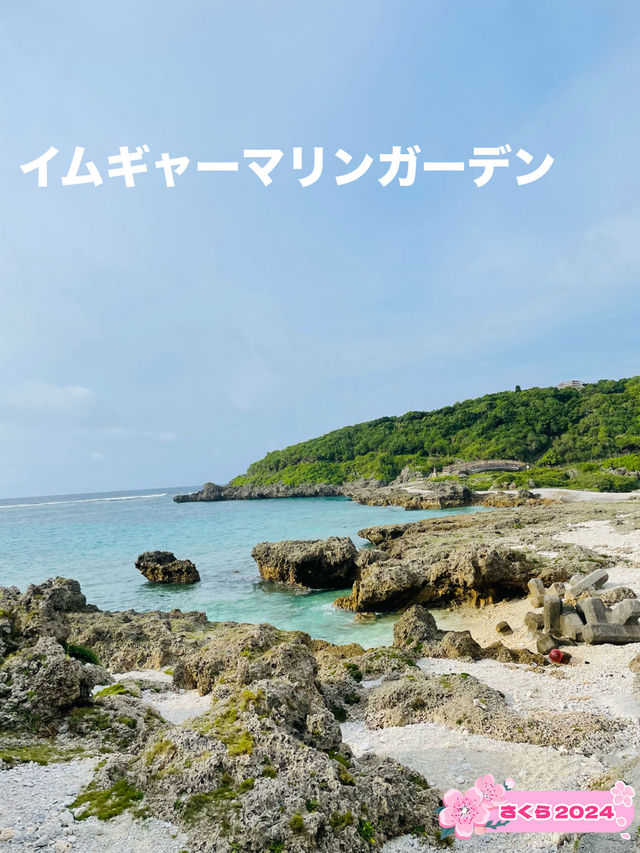 【宮古島】天然の海の宝石箱「イムギャーマリンガーデン」