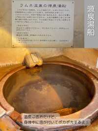 【大分/竹田】世界に誇れる！しゅわしゅわ温泉！