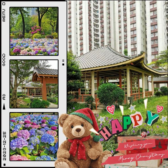 「蝴蝶灣公園～繡球花海」