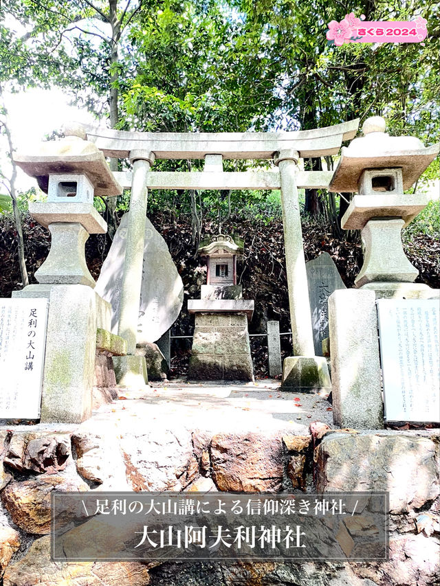 【大山阿夫利神社/栃木県】足利の大山講による信仰深き神社