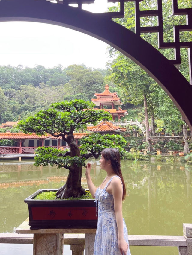 💚深圳仙湖植物園打卡攻略🌟