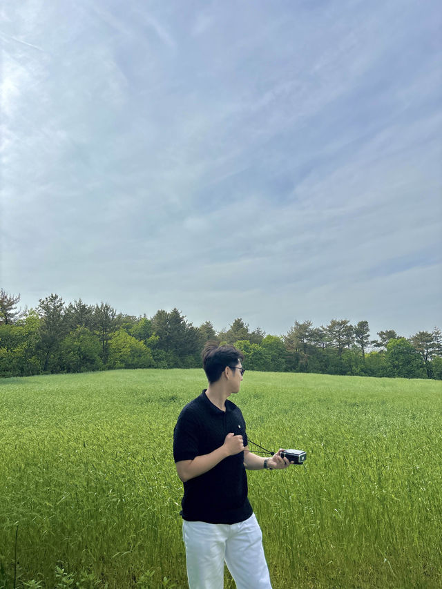 일본느낌과 한국느낌이 퓨전된 경주 마을의 스테이☕️