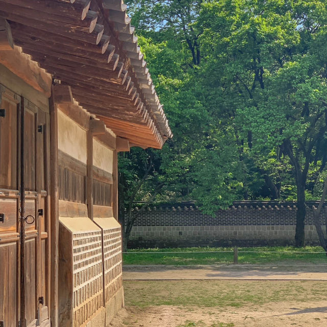 서울의 봄을 만끽하기에 안성맞춤인 경희궁 