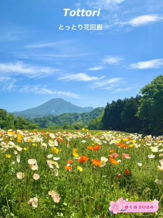 【鳥取】也很適合野餐
