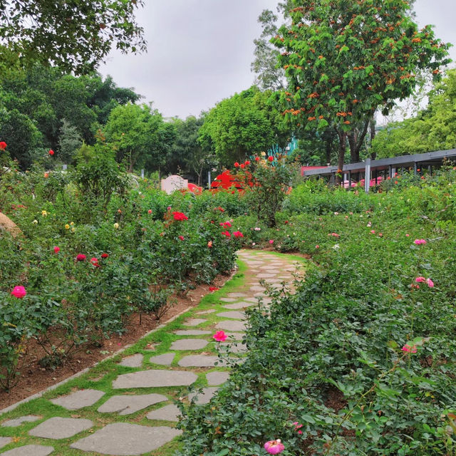 澳門望廈山市政公園：花海仙境