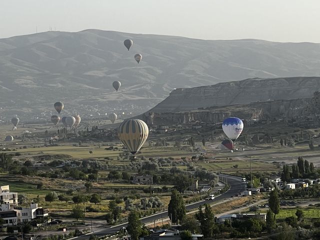 Magnificent Turkey