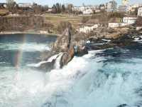 The Niagara Falls of Switzerland- Rhine Falls 🇨🇭