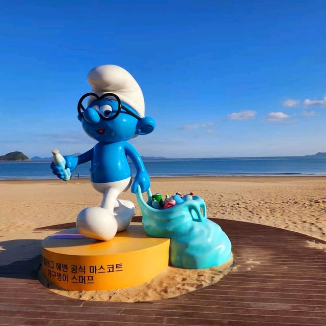 완도의 블루플래그