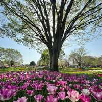 臺北樂活花園：自然景緻都市綠洲