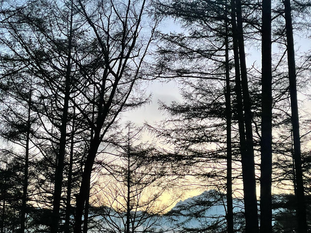 長野県: 川上村
