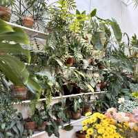 神農街附近-花園系咖啡廳