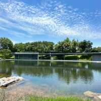 「星湖濕地公園」寧靜與美好
