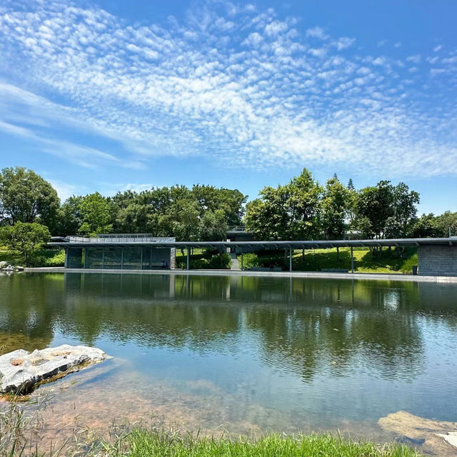 「星湖濕地公園」寧靜與美好