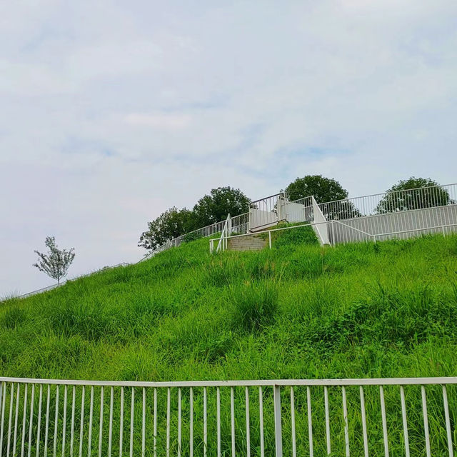 「海心沙亞運公園：自然綠洲」