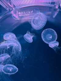【京都府】京都駅からアクセス抜群！京都水族館を楽しむ