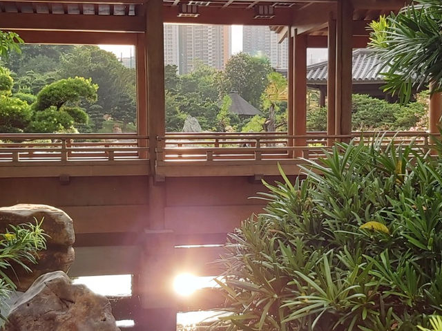 繁榮市區裏享受一個寧靜的公園