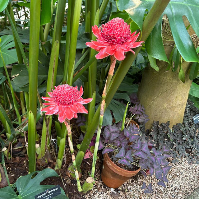 Miro Park：花園中的自然之美