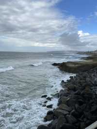 【LA聖地亞哥】La Jolla Cove：海豹海獅近距離觀賞，適合白天遊玩！