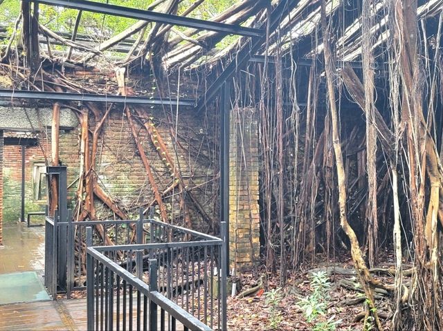 台南｜安平樹屋