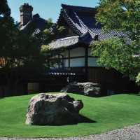 「駿府城公園：歷史與自然美景，四季美景適合漫步」