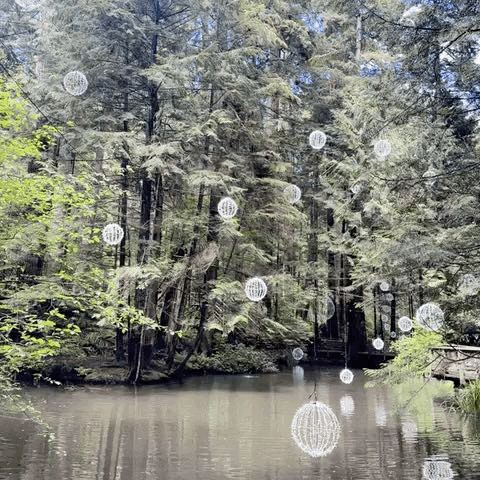 Vancouver 흔들다리가 있는 공원Capilano suspension Bridge Park
