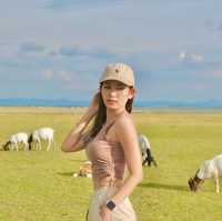 นิวซีแลนด์เมืองไทย เขื่อนป่าศักดิ์ชลสิทธิ์ 