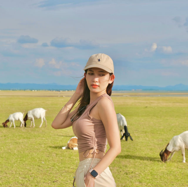 นิวซีแลนด์เมืองไทย เขื่อนป่าศักดิ์ชลสิทธิ์ 