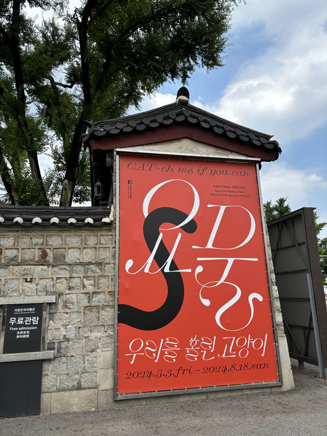 전통한옥과 7080거리 문화를 느끼는 여름여행지⭐️