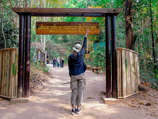 ถ้ำนาคา…อุทยานแห่งชาติภูลังกา